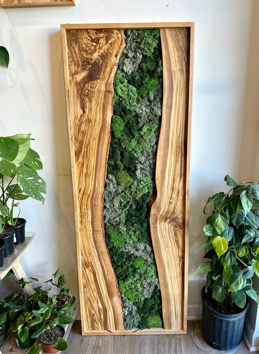Olive Wood River Moss (54x20")