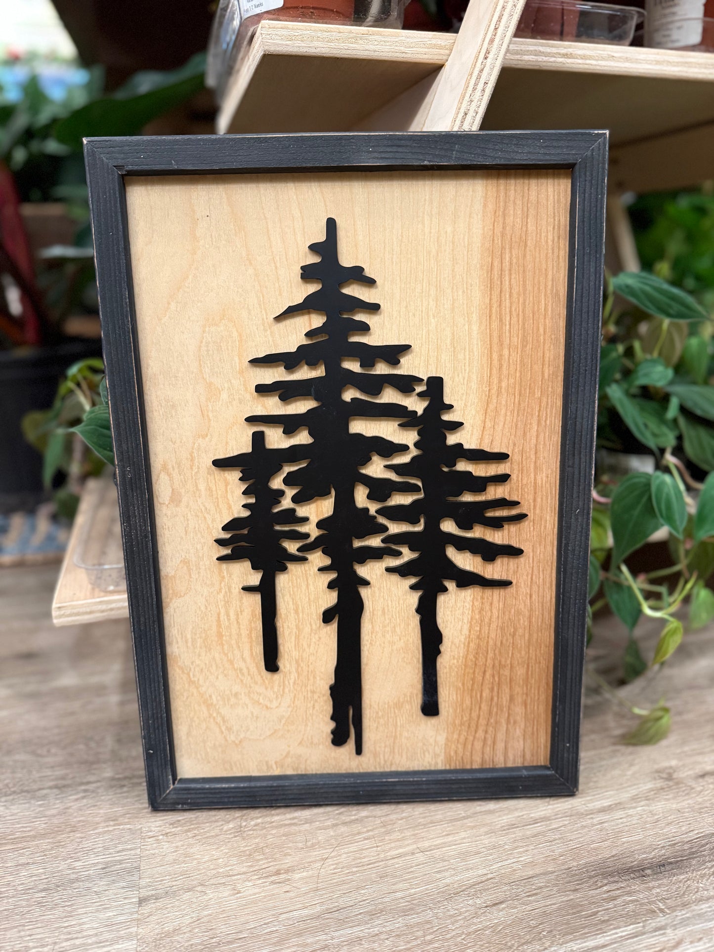 Tall Pines