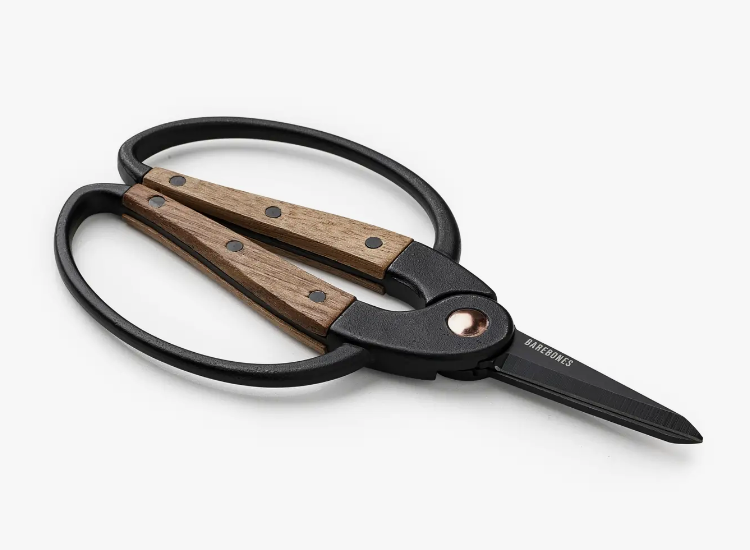 Garden Scissors