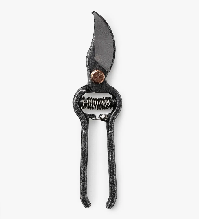Pruner