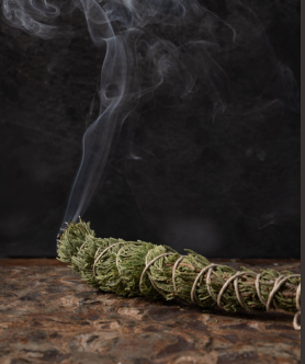 Forest Incense
