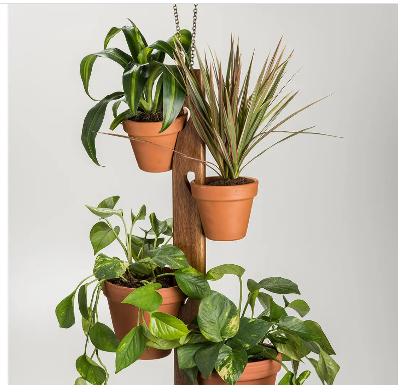 4 Pot Hanging Plant Holder