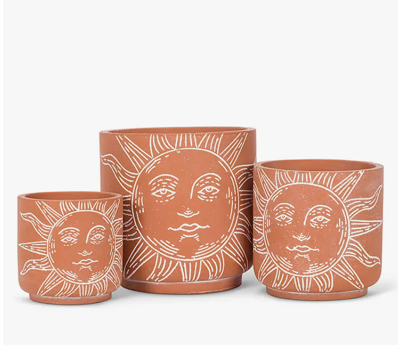 Sun Face Planter