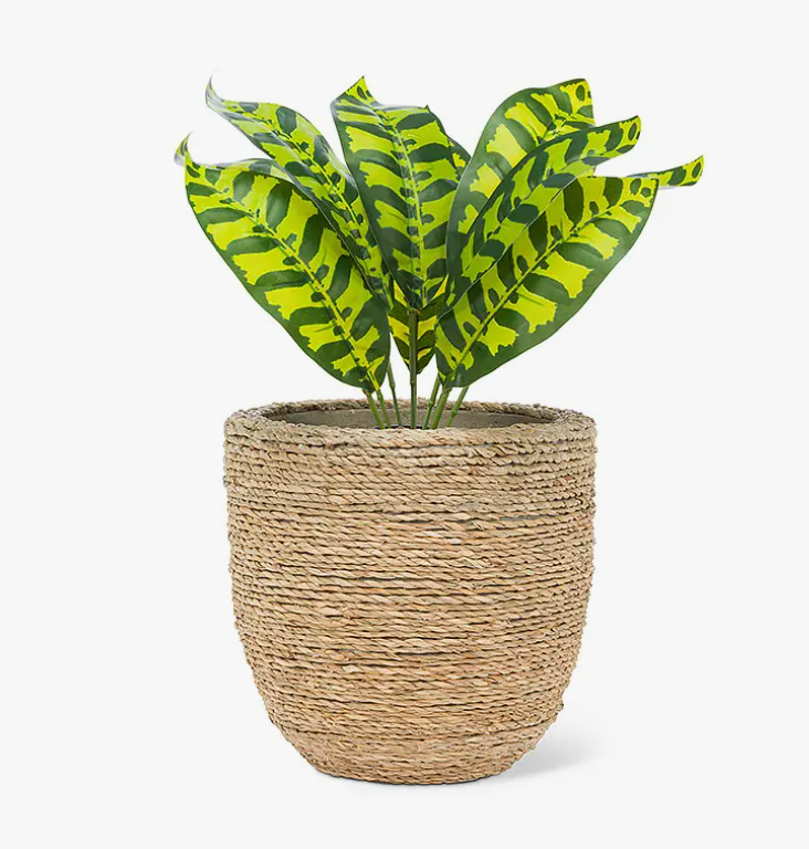Seagrass Planter 8.5"