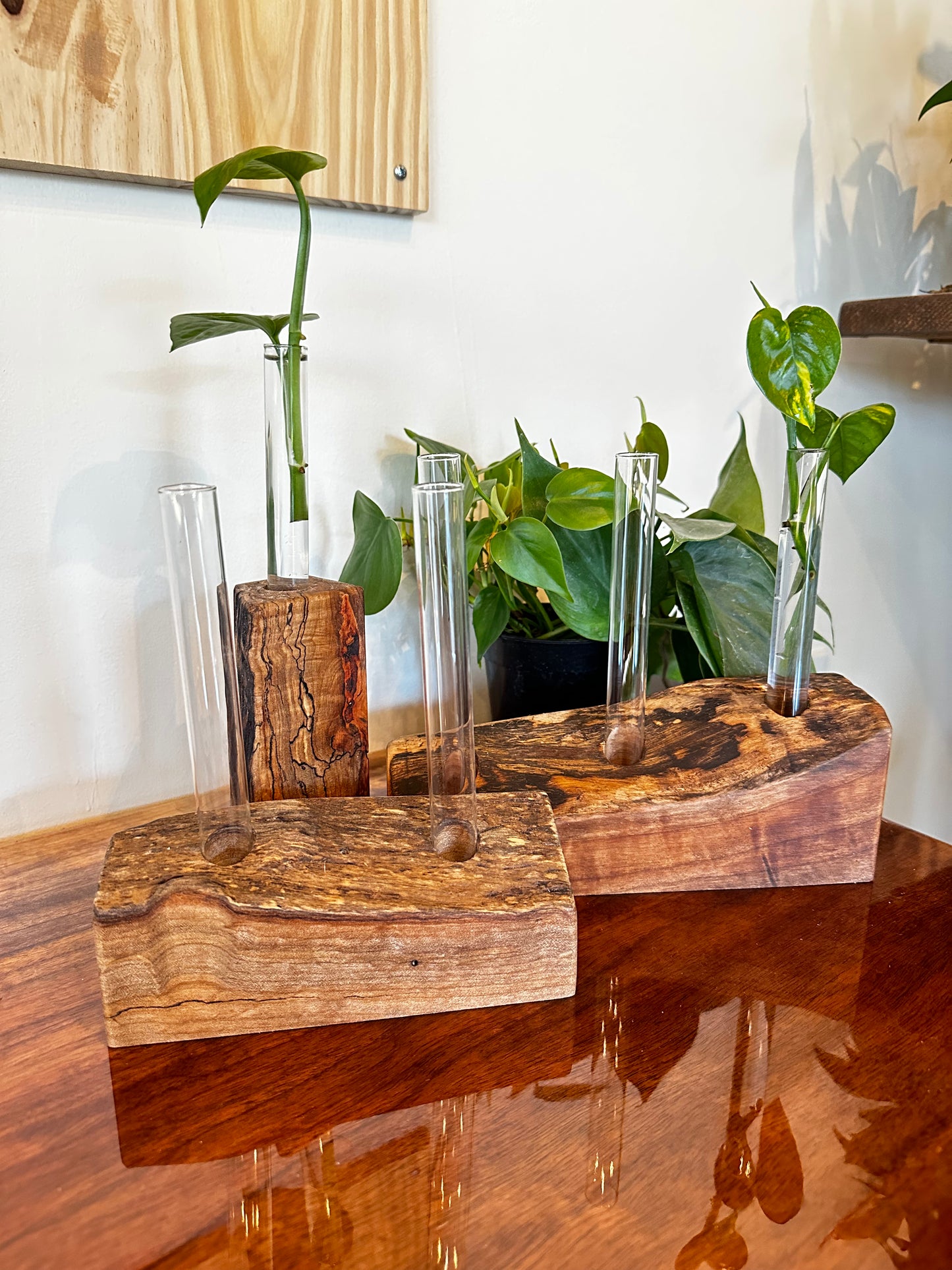 Hardwood Propagation Station