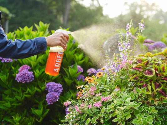 32oz Spray Bottle