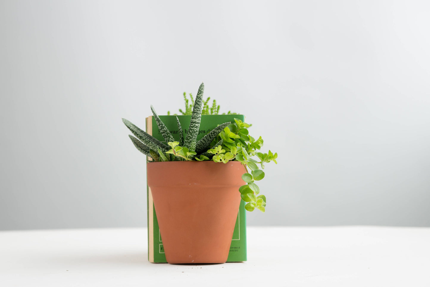 Plant Pot Bookends