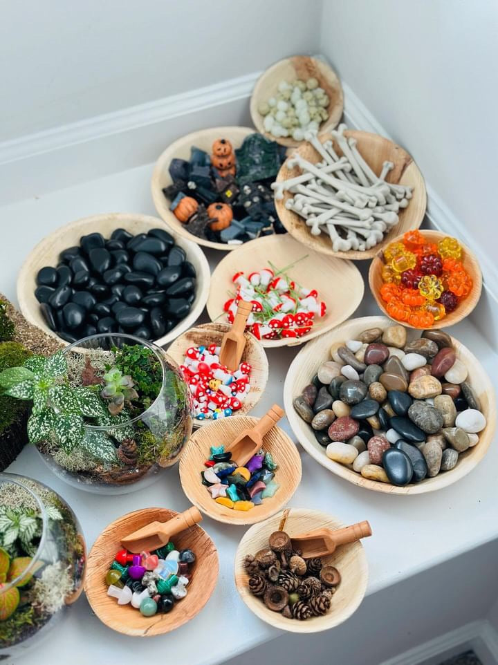 Terrarium Workshop 10/26