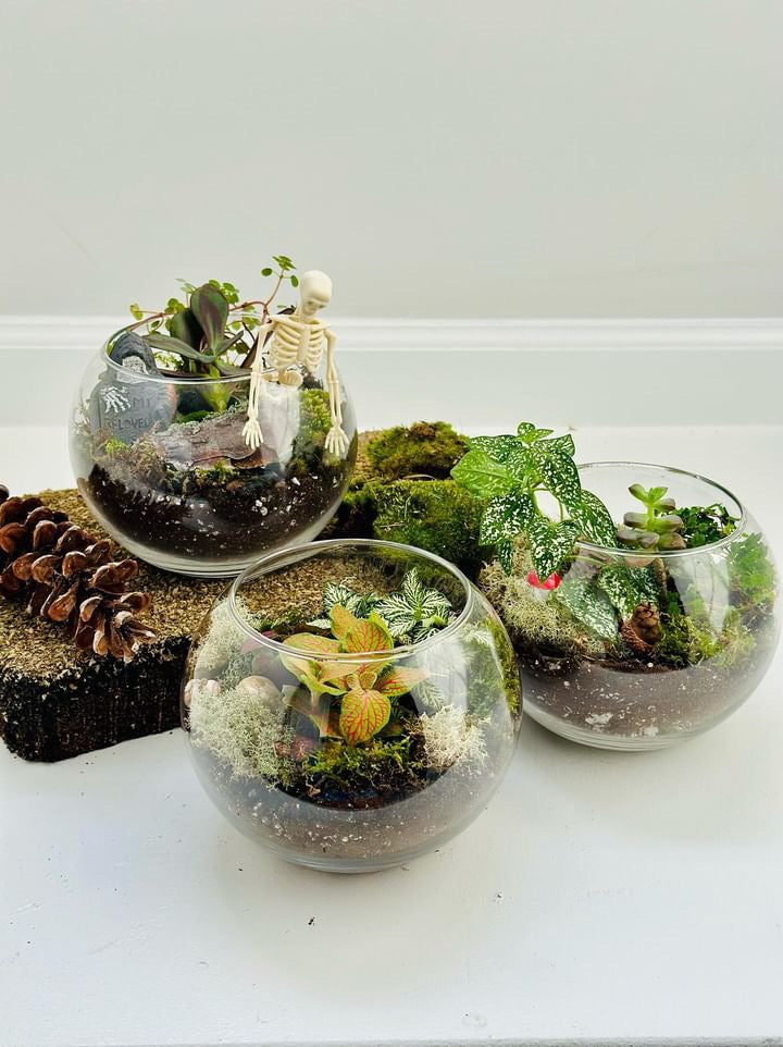 Terrarium Workshop 10/26