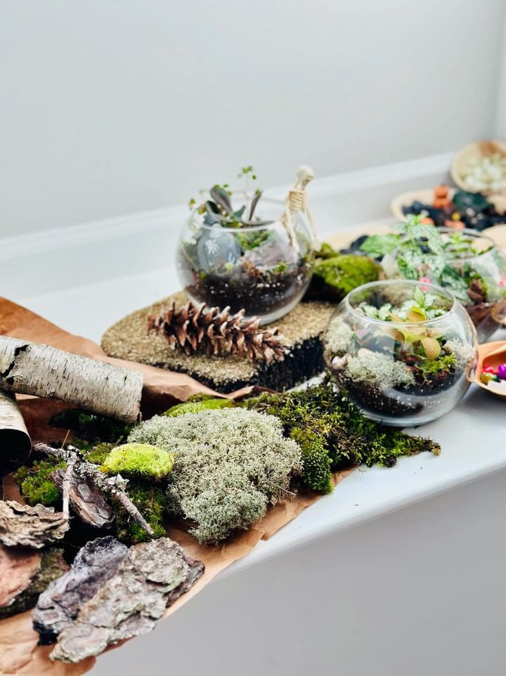 Terrarium Workshop 10/26