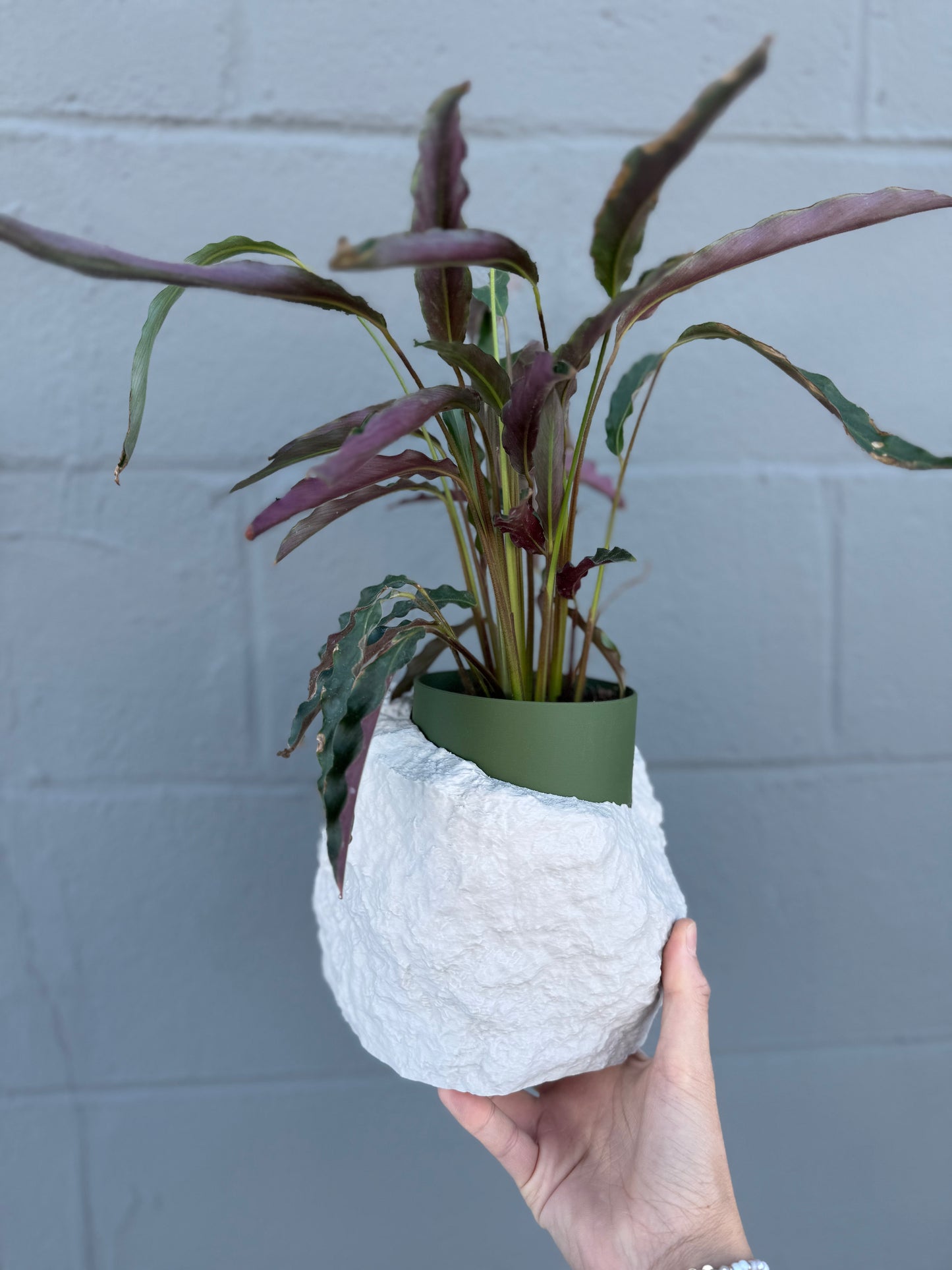 Rock Pot