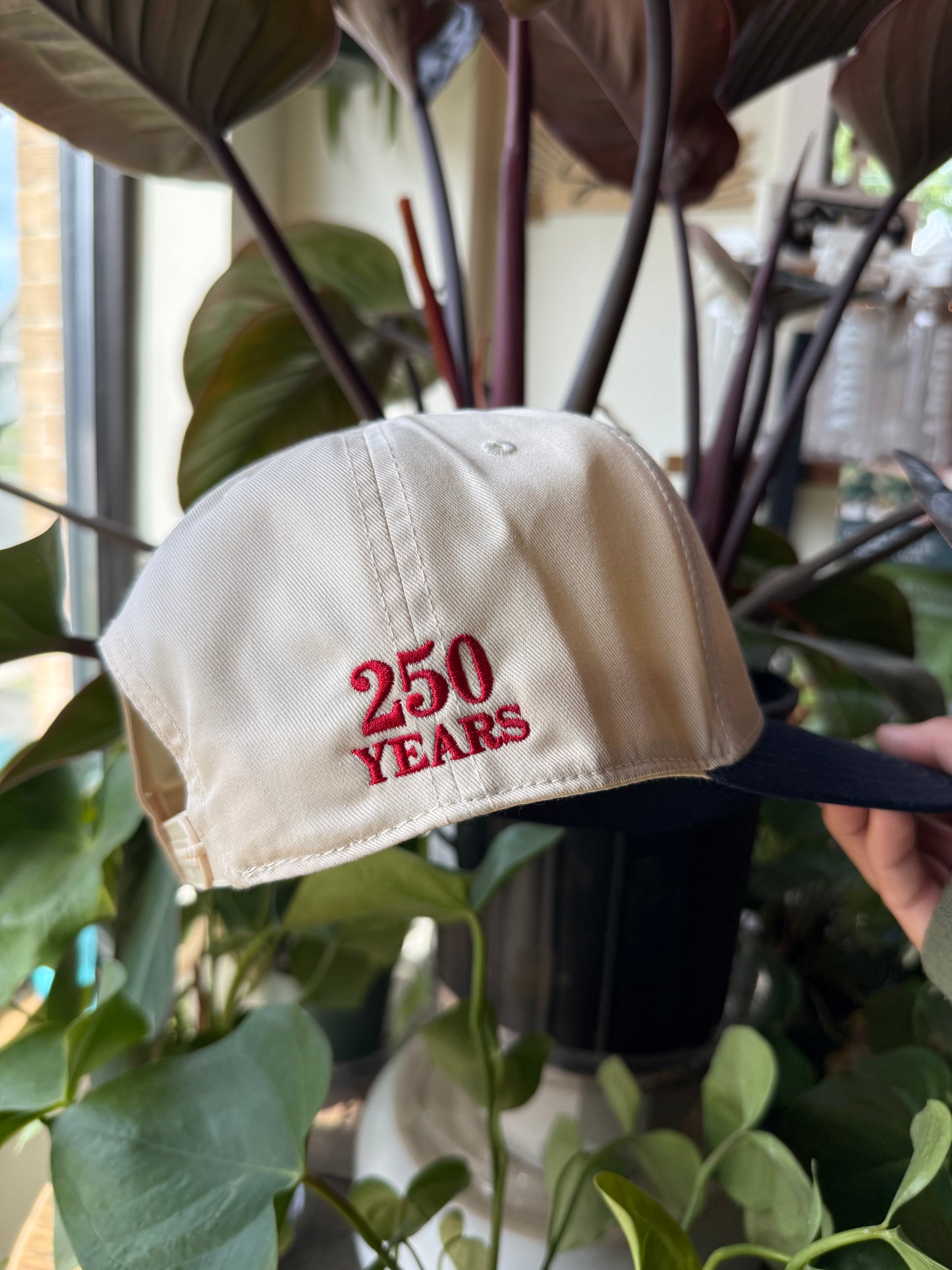 Land of the Free|250 Years Hat