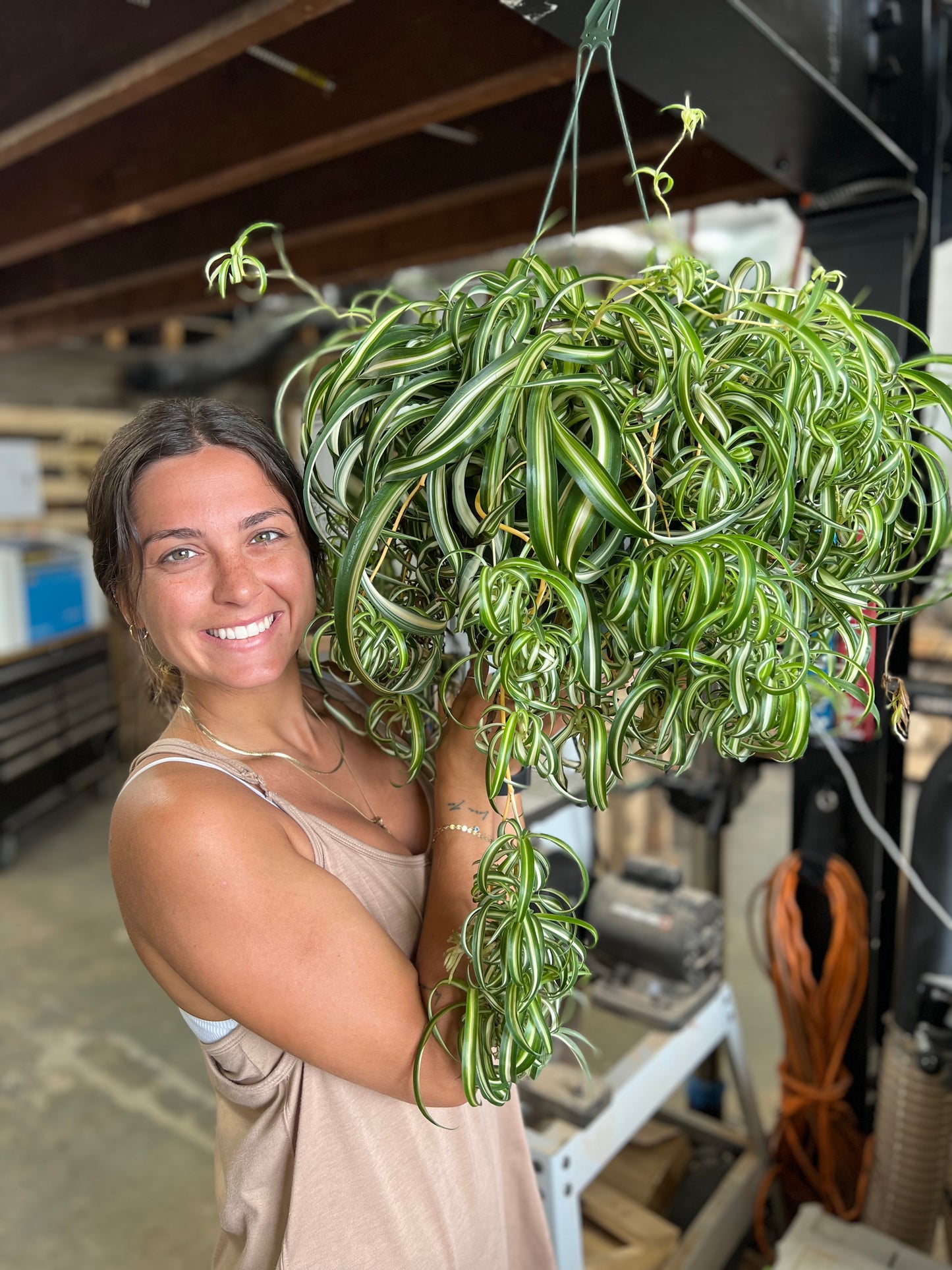 Piney Pup Propagation